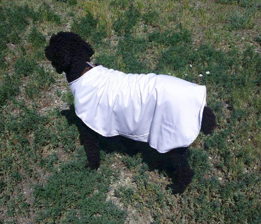 Wiggy's cooling dog jacket