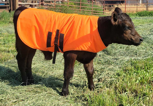 Calf Jacket