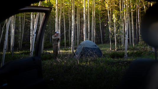 A tent in the aspens, seen from an open truck door